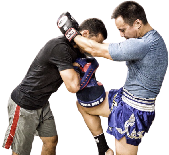 kickboxing toronto rev mma