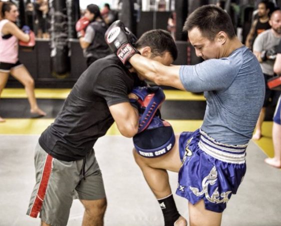 mixed martial arts toronto revmma