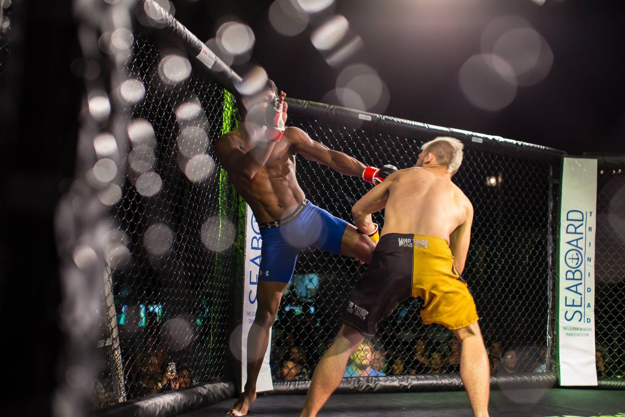 MMA fighters in intense cage match, executing dynamic martial arts moves under bright lights.