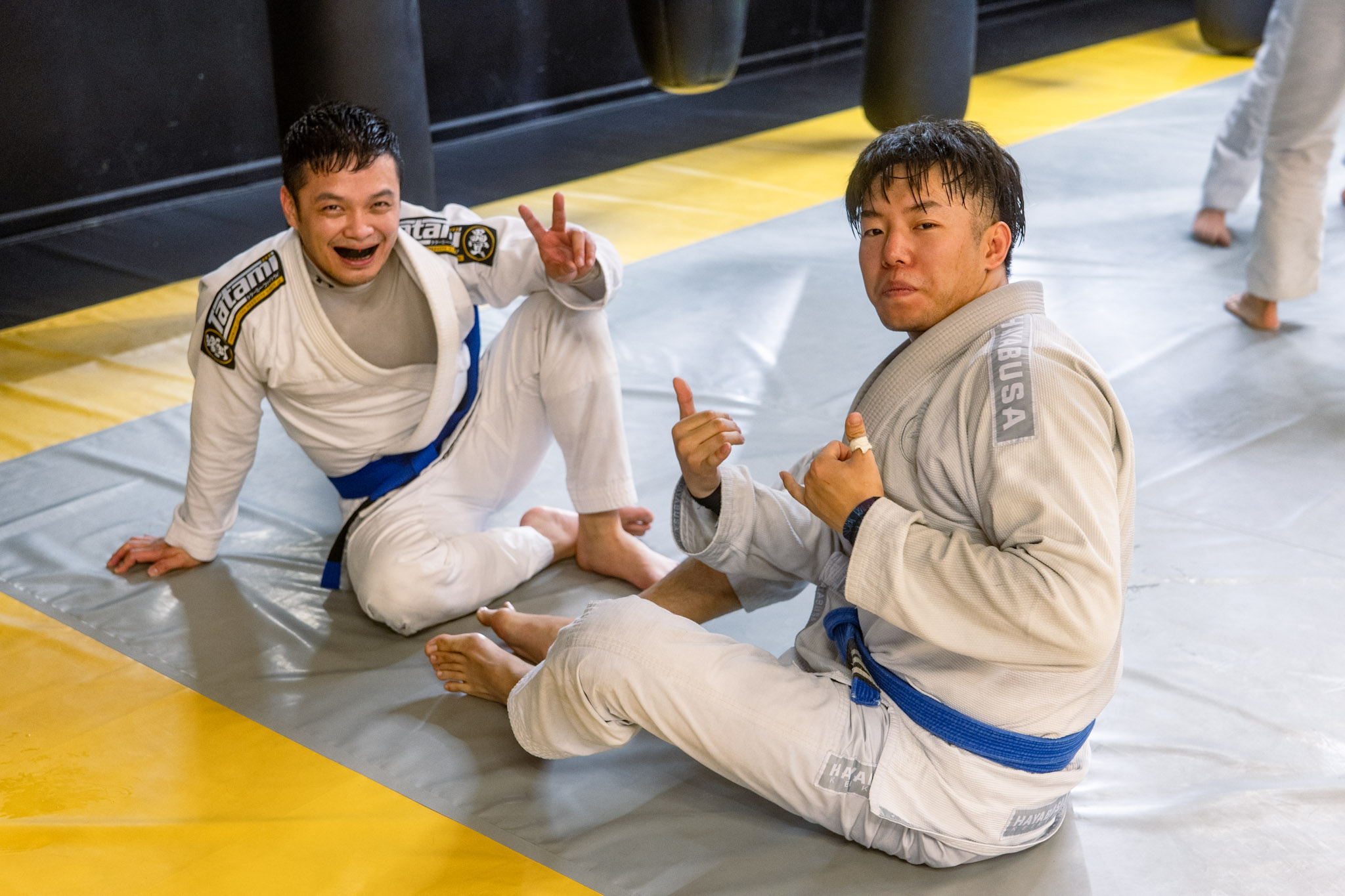 brazilian jiu jitsu toronto